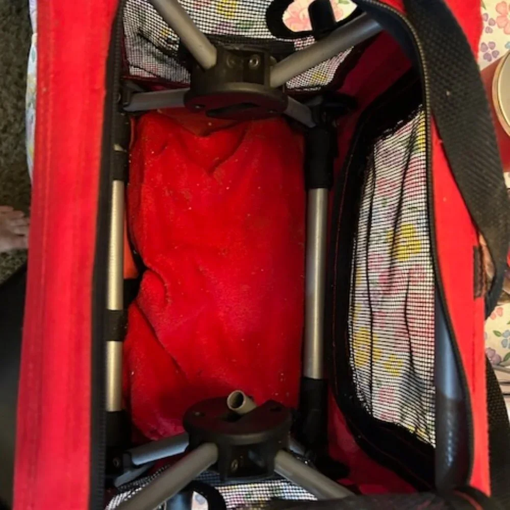Canvas & Mesh Small Pet Carrier